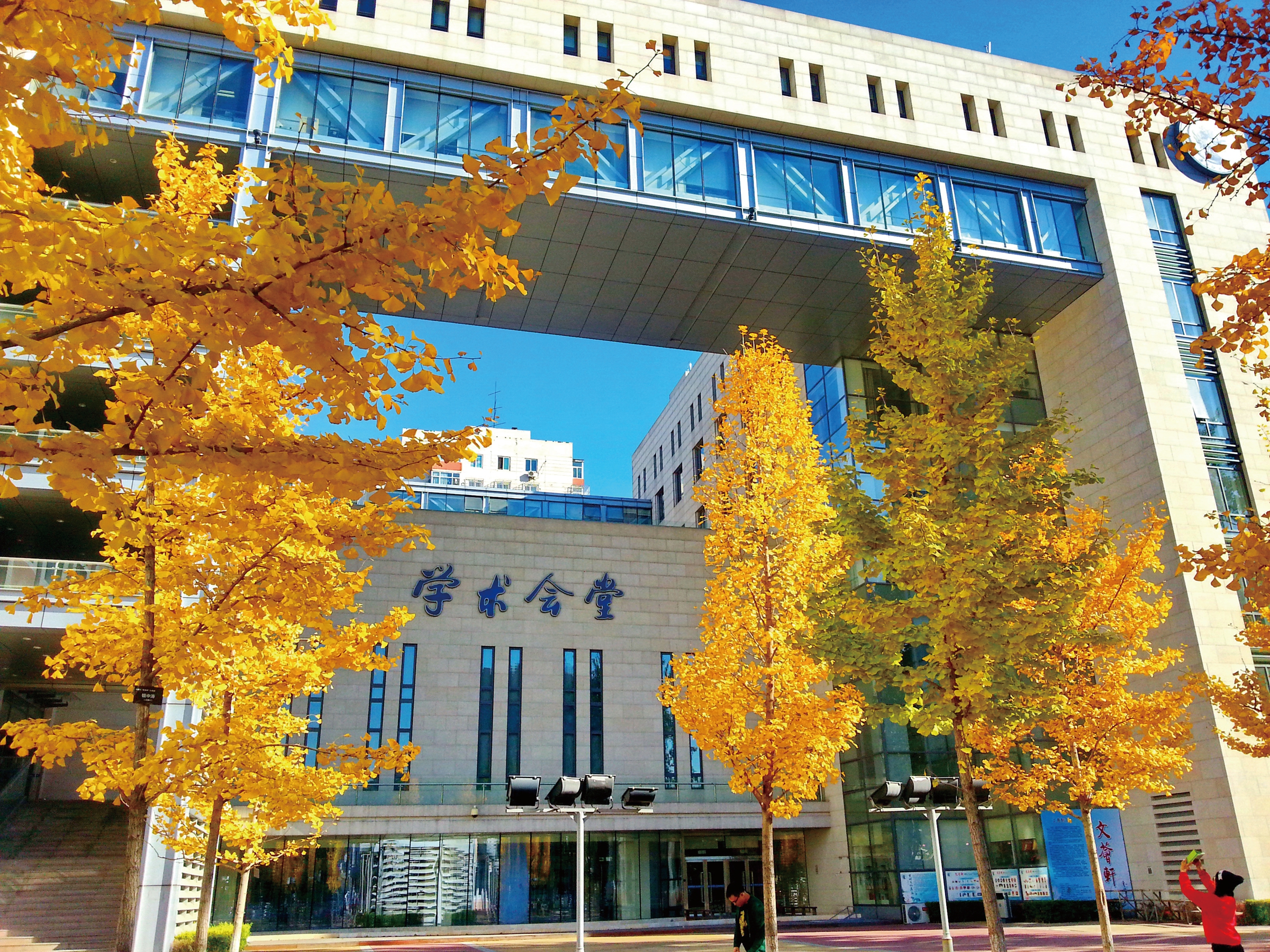 浅碧金枫-中央财经大学